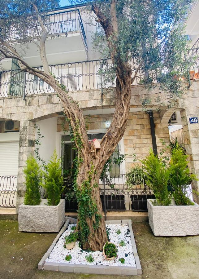 Petrovac Apartment Oliva1 מראה חיצוני תמונה
